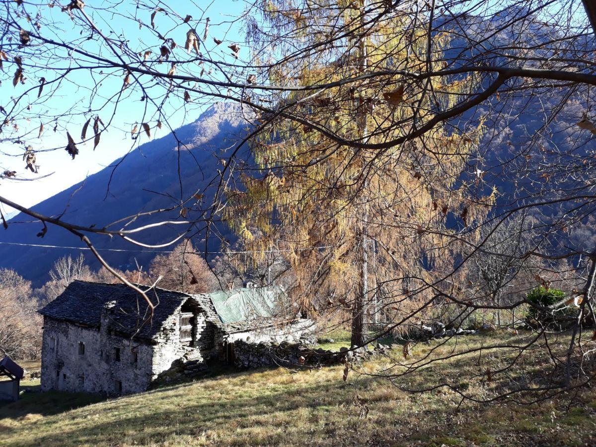 Anzino Casa All'Alpe מראה חיצוני תמונה